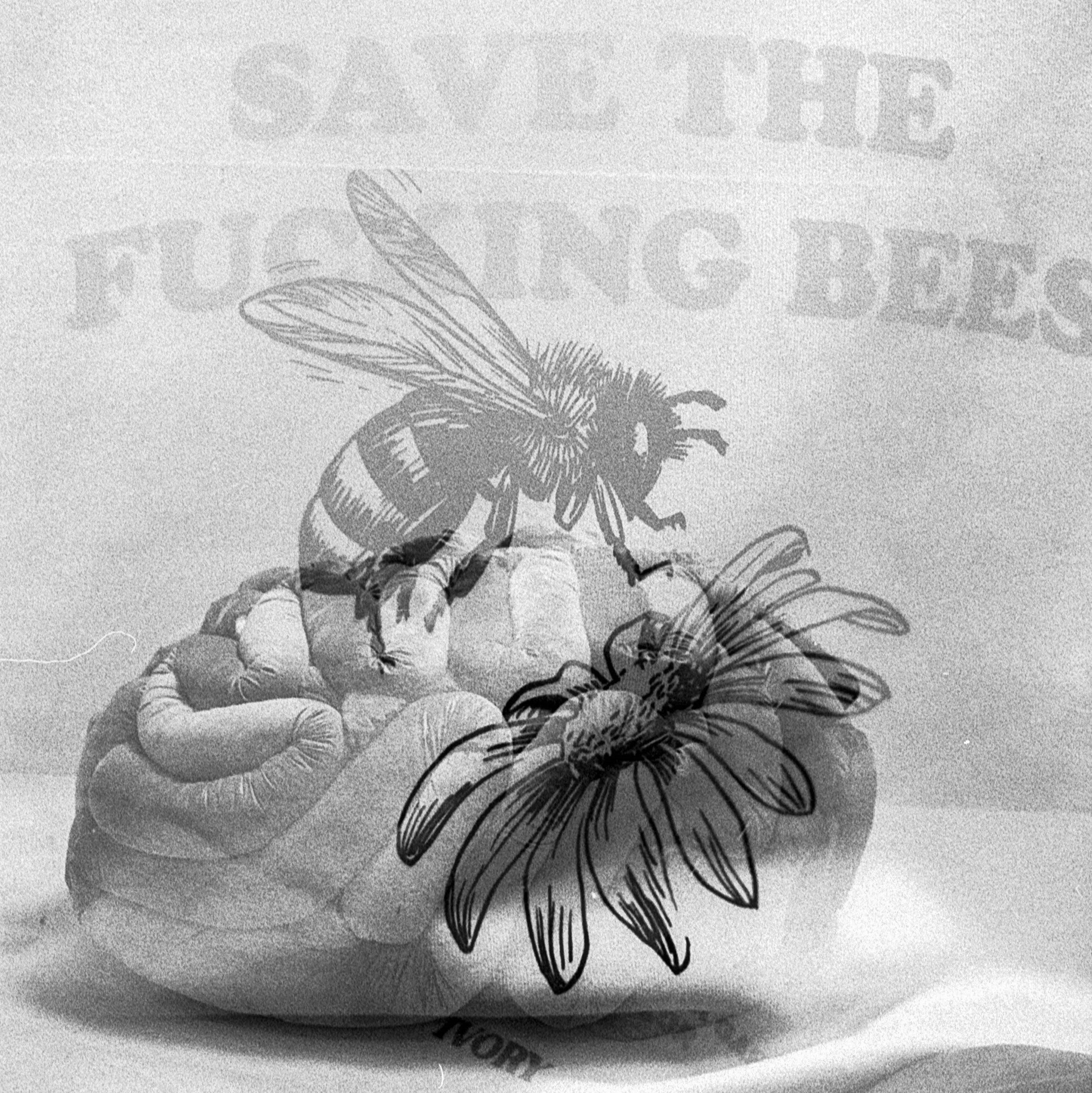 SAVE THE BEES HOODIE NATURAL RAW - IVORY WORLD